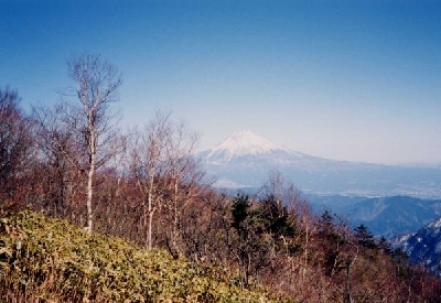 �\���R����̕x�m�R�ʐ^