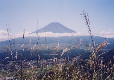 �ێq�x����̕x�m�R