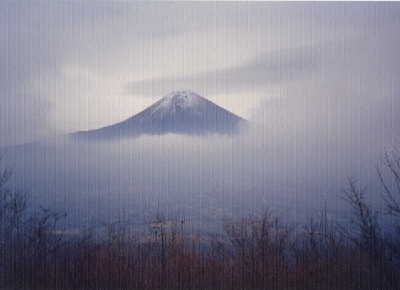 ���҃��x����̕x�m�R