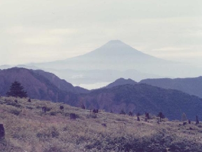 �R������̕x�m�R