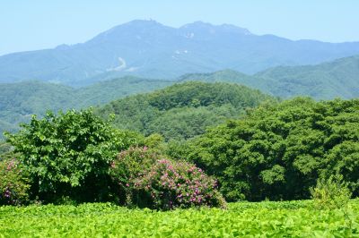 �Еi���A�Ă̕����R