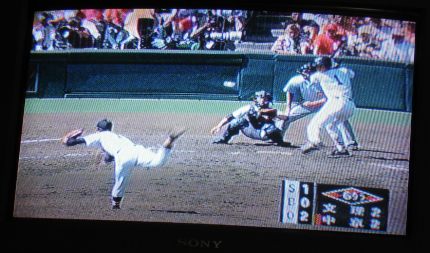 ���Z�싅�b�q��������