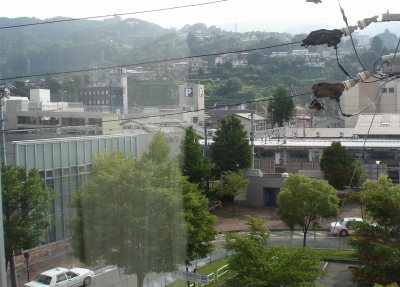 �r�W�l�X�z�e��