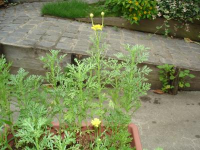 ���X�ƊJ��