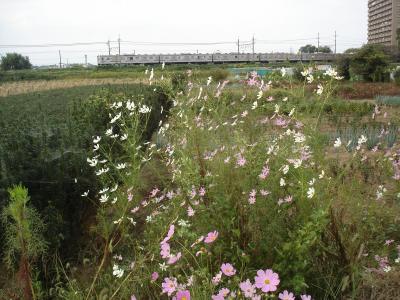 ����������s��