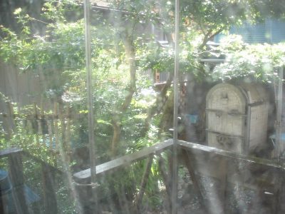 �䕗�P�W���P��