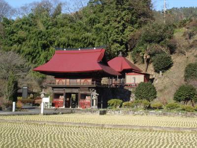 ������t��