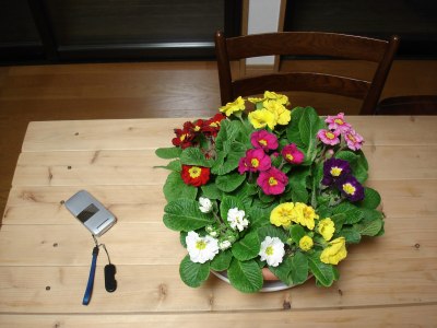 �񂹐A����