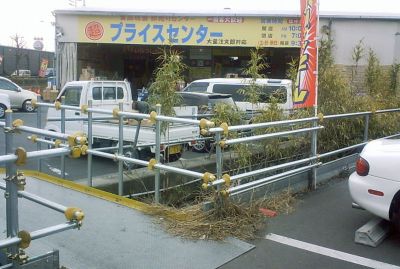 ���͖����Ƃ���肠���������E�E