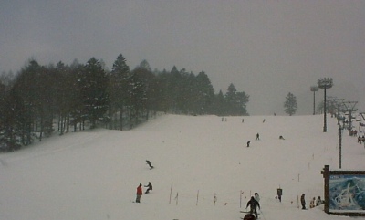 ����\��̃Q�����f