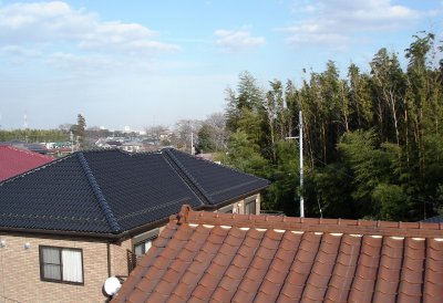 �����t����