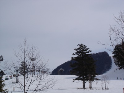 ���C�̖����ʐ^