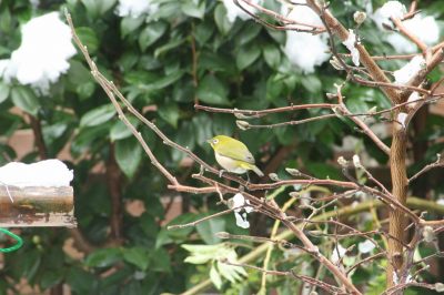 �m�����̋߂��ɁE�E�H