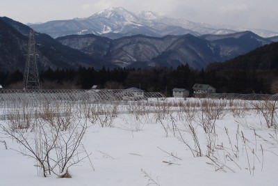 ��������̕����R