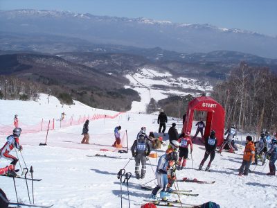 �X�����[����Q��