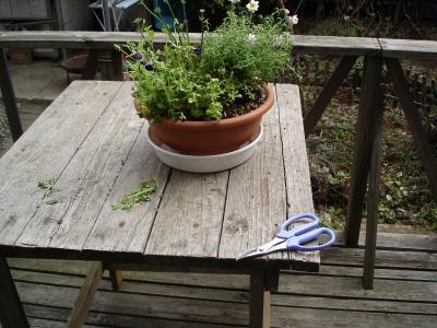 �t�̓�����