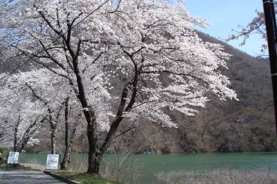 �����_���̍�