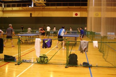 �q���̓��싅