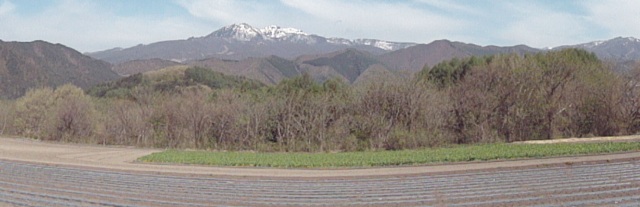 �T���̕����R