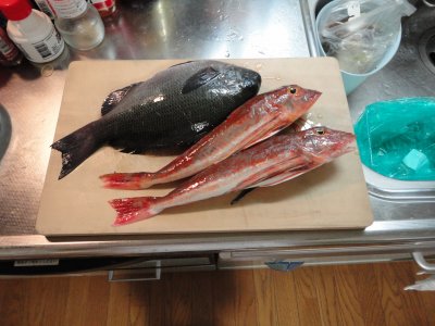 ���W�i�E�z�E�{�E