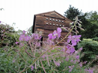 �o�b�g�n�E�X