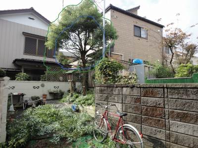 ���ؙ���