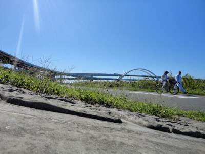 �r��T�C�N�����O���[�h