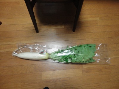 �t���ϕt���卪