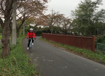 �H�F�T�C�N�����O���[�h