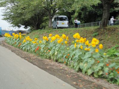 �q�}�����X��