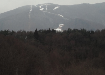 �x�m���p�m���}�X�L�[��