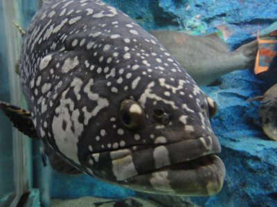 ��z�s��������