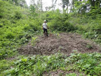 �Q��ڂ̉�������