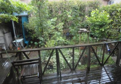 �䕗�U���ڋ�