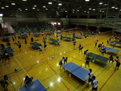 �s���I�茠���