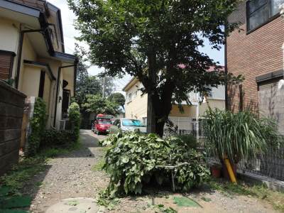 ���̎}�؂�o�J