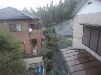 �䕗�P�T���P��