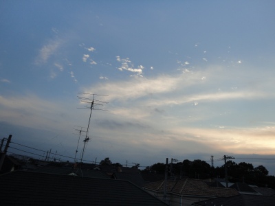 �V�C���E��