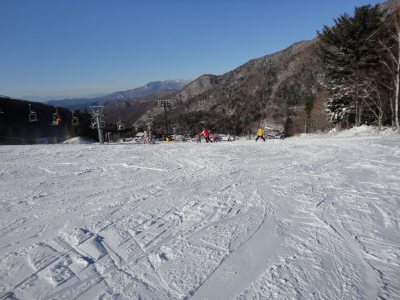 �����̃Q�����f