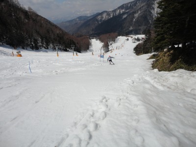 ���G���߂Ẳ��T���o�[��