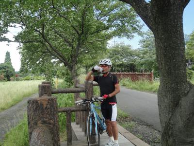 �����p������