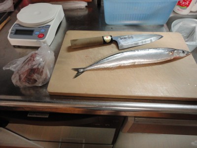 ����܂̃V�[�Y��