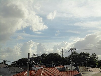 �s����ȋ�͗l