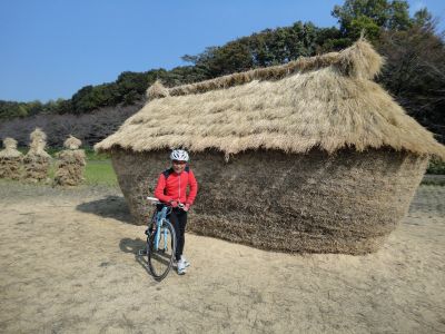 �����n��̃t�i�m