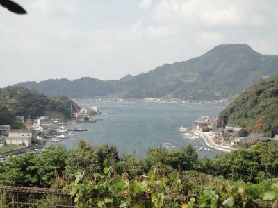 �F�a�����i