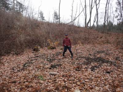 �A���т̎����