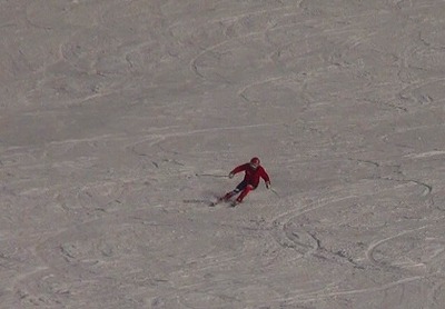 �t���[����