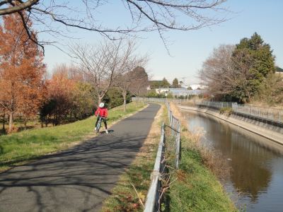 �~�̃T�C�N�����O