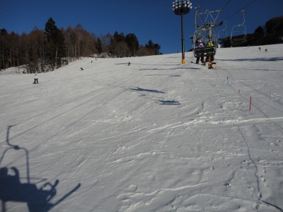 ���₩�ȃQ�����f