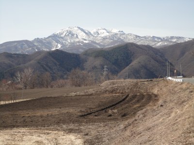 �t�̕����R